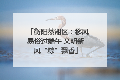 衡阳蒸湘区：移风易俗过端午 文明新风“粽”飘香