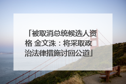 被取消总统候选人资格 金文洙：将采取政治法律措施讨回公道