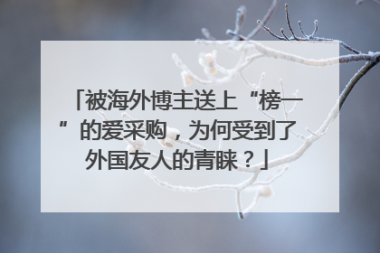 被海外博主送上“榜一”的爱采购，为何受到了外国友人的青睐？