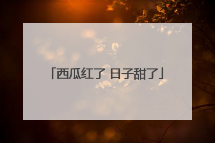 西瓜红了 日子甜了