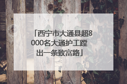 西宁市大通县超8000名大通护工蹚出一条致富路
