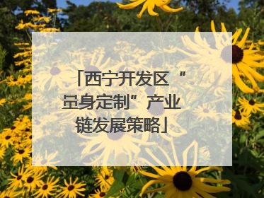 西宁开发区“量身定制”产业链发展策略