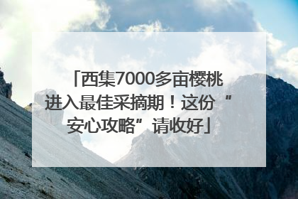 西集7000多亩樱桃进入最佳采摘期！这份“安心攻略”请收好