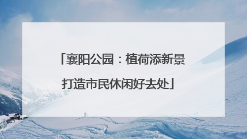 襄阳公园：植荷添新景 打造市民休闲好去处