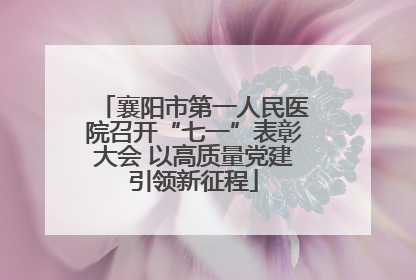 襄阳市第一人民医院召开“七一”表彰大会 以高质量党建引领新征程