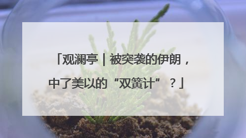 观澜亭｜被突袭的伊朗，中了美以的“双簧计”？