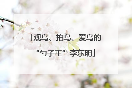观鸟、拍鸟、爱鸟的“勺子王”李东明