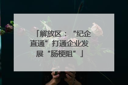 解放区：“纪企直通”打通企业发展“肠梗阻”
