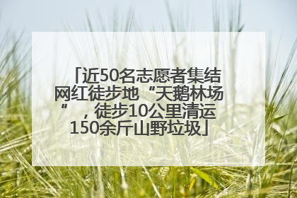 近50名志愿者集结网红徒步地“天鹅林场”，徒步10公里清运150余斤山野垃圾