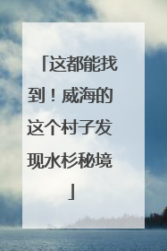 这都能找到！威海的这个村子发现水杉秘境