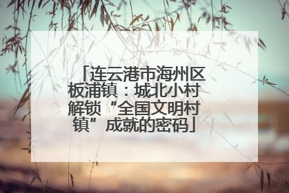 连云港市海州区板浦镇：城北小村解锁“全国文明村镇”成就的密码