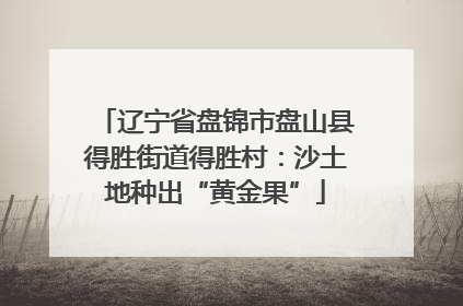 辽宁省盘锦市盘山县得胜街道得胜村：沙土地种出“黄金果”