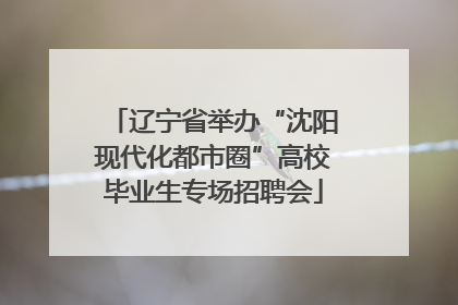 辽宁省举办“沈阳现代化都市圈”高校毕业生专场招聘会