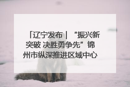 辽宁发布｜“振兴新突破 决胜勇争先”锦州市纵深推进区域中心城市建设 打造高质量发展新增长极