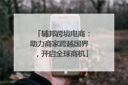 辅邦跨境电商：助力商家跨越国界，开启全球商机