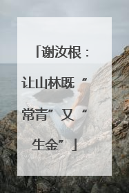 谢汝根：让山林既“常青”又“生金”