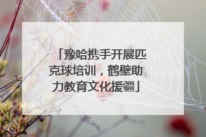豫哈携手开展匹克球培训，鹤壁助力教育文化援疆