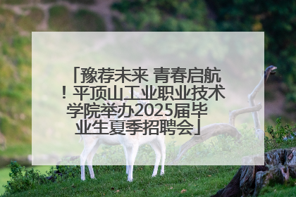 豫荐未来 青春启航！平顶山工业职业技术学院举办2025届毕业生夏季招聘会