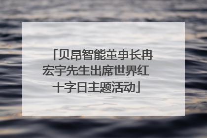 贝昂智能董事长冉宏宇先生出席世界红十字日主题活动