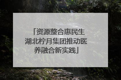 资源整合惠民生 湖北柠月集团推动医养融合新实践