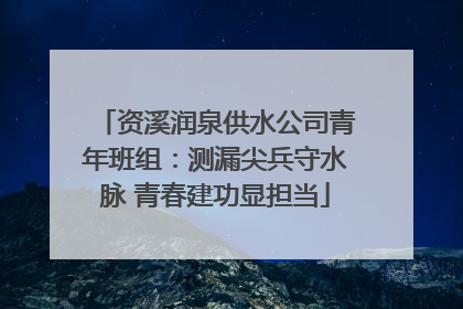 资溪润泉供水公司青年班组：测漏尖兵守水脉 青春建功显担当