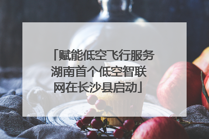赋能低空飞行服务 湖南首个低空智联网在长沙县启动