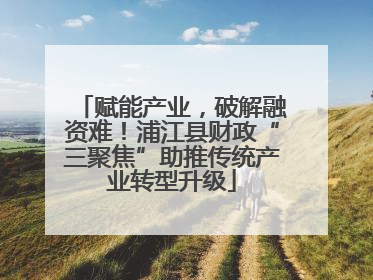 赋能产业，破解融资难！浦江县财政“三聚焦”助推传统产业转型升级