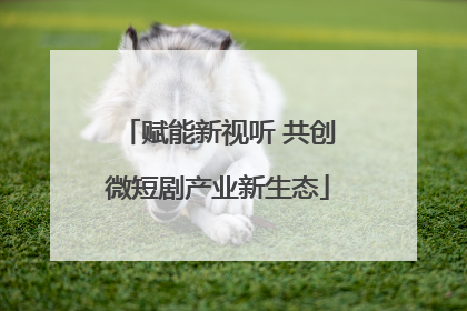 赋能新视听 共创微短剧产业新生态