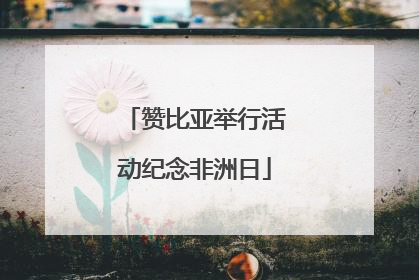 赞比亚举行活动纪念非洲日