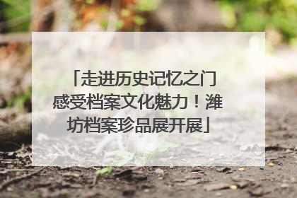 走进历史记忆之门 感受档案文化魅力！潍坊档案珍品展开展