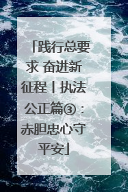 践行总要求 奋进新征程丨执法公正篇③：赤胆忠心守平安