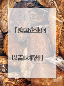 跨国企业何以青睐福州