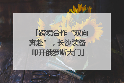 跨境合作“双向奔赴”，长沙装备叩开俄罗斯大门