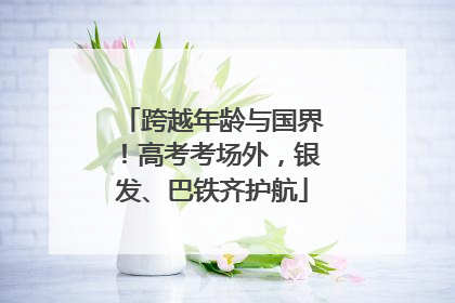 跨越年龄与国界！高考考场外，银发、巴铁齐护航
