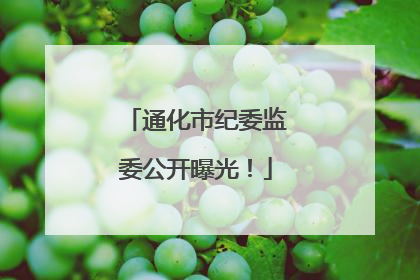 通化市纪委监委公开曝光！
