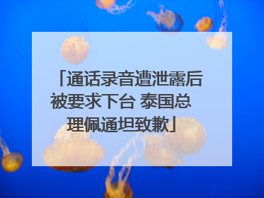 通话录音遭泄露后被要求下台 泰国总理佩通坦致歉