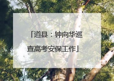 道县：钟向华巡查高考安保工作