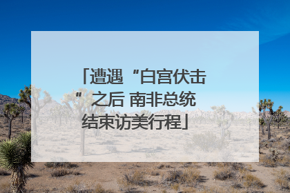 遭遇“白宫伏击”之后 南非总统结束访美行程