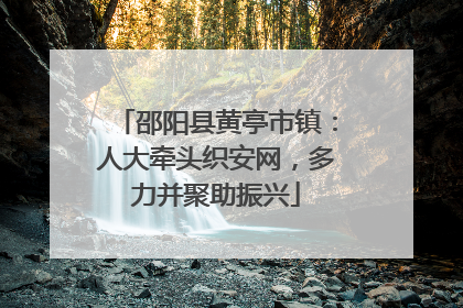 邵阳县黄亭市镇：人大牵头织安网，多力并聚助振兴