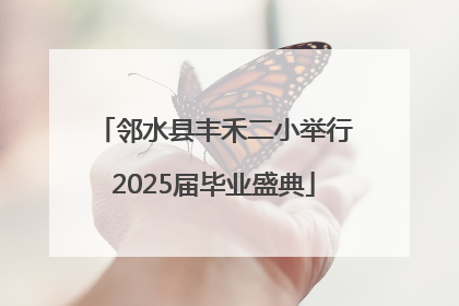 邻水县丰禾二小举行2025届毕业盛典