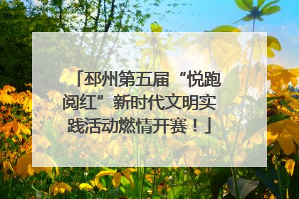 邳州第五届“悦跑阅红”新时代文明实践活动燃情开赛！
