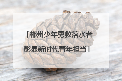 郴州少年勇救落水者 彰显新时代青年担当