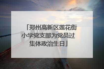 郑州高新区莲花街小学党支部为党员过集体政治生日