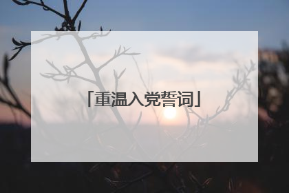 重温入党誓词