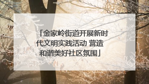 金家岭街道开展新时代文明实践活动 营造和谐美好社区氛围