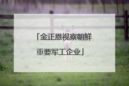 金正恩视察朝鲜重要军工企业