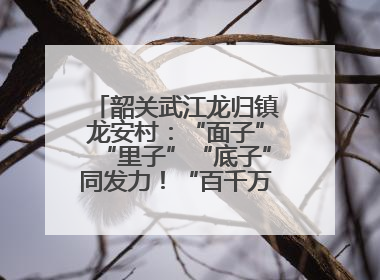 韶关武江龙归镇龙安村：“面子”“里子”“底子”同发力！“百千万工程”激活乡村新动能