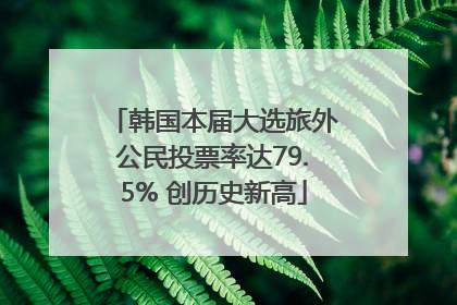 韩国本届大选旅外公民投票率达79.5% 创历史新高