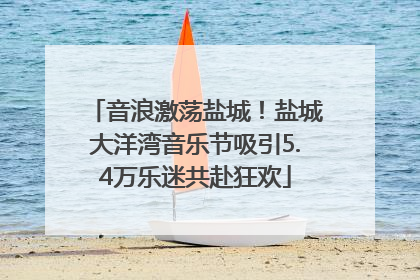 音浪激荡盐城！盐城大洋湾音乐节吸引5.4万乐迷共赴狂欢