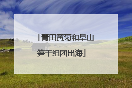 青田黄菊和阜山笋干组团出海